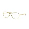 Ray Ban Full-frame Plain Mirror