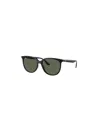 Ray Ban Ray