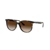 Ray Ban Ray-ban Ray-ban Rb4378 710/13