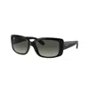 Ray Ban Rb4389 Sunglasses