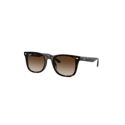 Ray Ban Ray-ban Ray-ban Rb4420 710/13 In Black