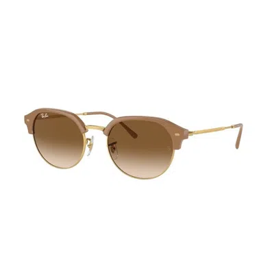 Ray Ban Ray-ban Ray-ban Rb4429 672151 In Brown