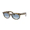 Ray Ban Wayfarer 53mm Oval Sunglasses