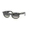 Ray Ban Wayfarer 53mm Oval Sunglasses