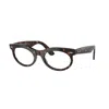 Ray Ban Wayfarer 53mm Polarized Oval Sunglasses