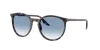 Ray Ban Ray In Black