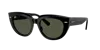 Ray Ban Ray In Black