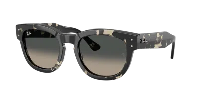 Ray Ban Ray In Black