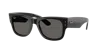 Ray Ban Ray In Black