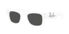 Ray Ban Ray In White