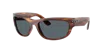 Ray Ban Ray In Blue