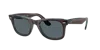 Ray Ban Ray In Brown