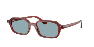 Ray Ban Ray In Brown