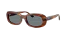 Ray Ban Ray In Blue