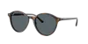 Ray Ban Ray In Blue