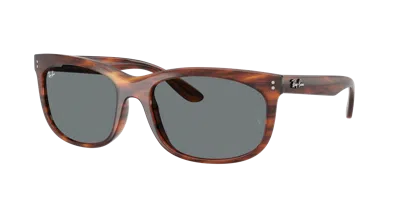 Ray Ban Ray In Brown