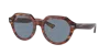 Ray Ban Ray In Blue