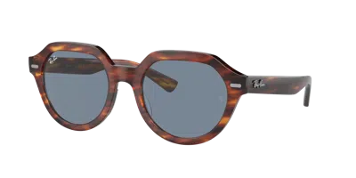 Ray Ban Ray In Blue