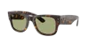 Ray Ban Ray In Bottle Green