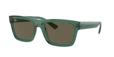 Ray Ban Ray In Braun