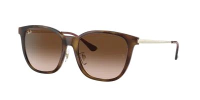 Ray Ban Ray In Brown