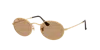 Ray Ban Ray In Brown