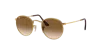 Ray Ban Ray In Brown