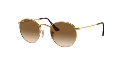 Ray Ban Ray In Brown