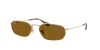 Ray Ban Ray In Brown