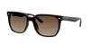 Ray Ban Ray In Brown