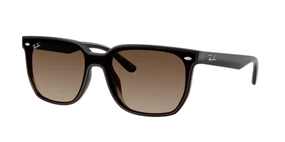 Ray Ban Ray In Brown