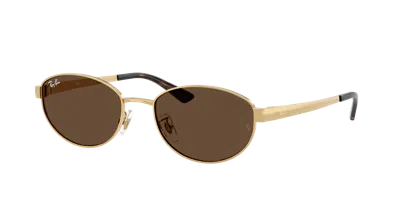 Ray Ban Ray In Brown