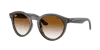 Ray Ban Ray In Gray