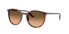 Ray Ban Ray In Brown