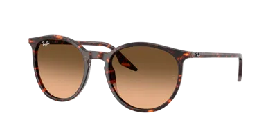 Ray Ban Ray In Brown