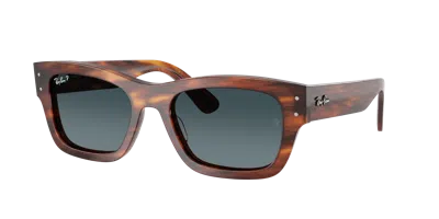 Ray Ban Ray In Brown