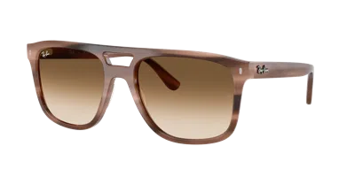 Ray Ban Ray In Brown