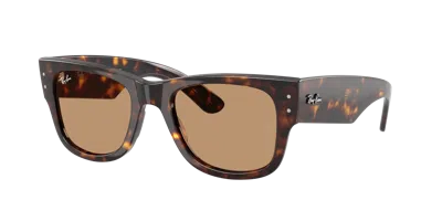 Ray Ban Ray In Brown