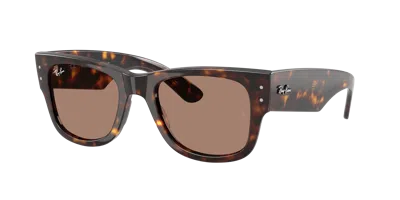 Ray Ban Ray In Brown