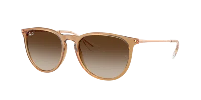 Ray Ban Ray In Brown