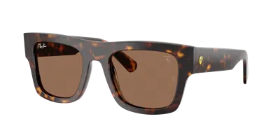 Ray Ban Ray In Brown