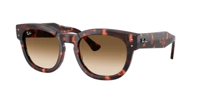 Ray Ban Ray In Brown