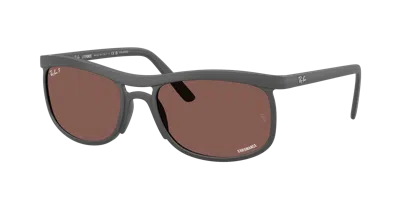 Ray Ban Ray In Brown