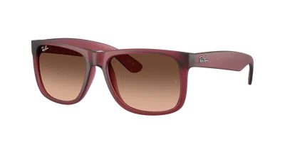Ray Ban Ray In Brown
