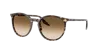Ray Ban Ray In Brown