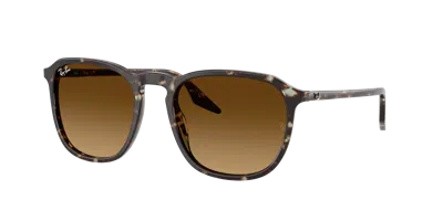 Ray Ban Ray In Brown