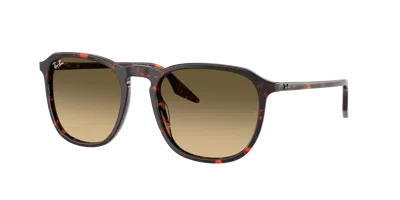 Ray Ban Ray In Brown