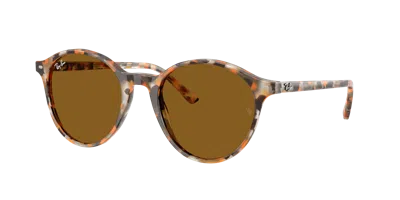 Ray Ban Ray In Brown
