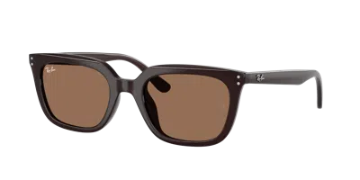 Ray Ban Ray In Brown