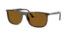 Ray Ban Ray In Brown
